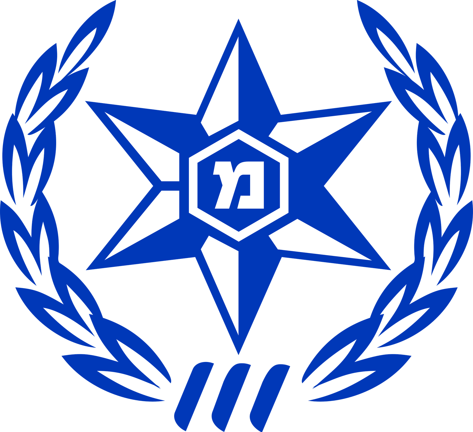 Emblem_of_Israel_Police_Blue.svg